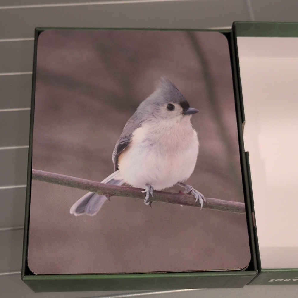 New In box...Backyard Birds Flash Cards - Picture 4 of 5
